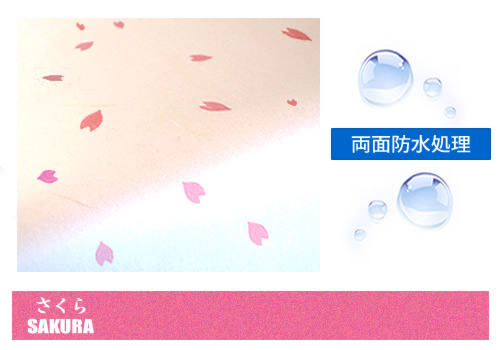 ������(�Ԃт�Z���^�[�j/���ʖh�����H